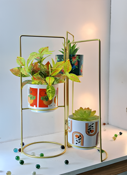 3-Tier Geometric Planter Stand with Gold Frame