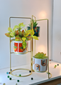 3-Tier Geometric Planter Stand with Gold Frame