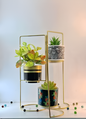 3-Tier Geometric Planter Stand with Gold Frame