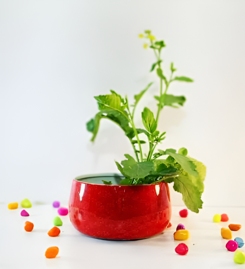 Decorative Round Metal Planter Bowl