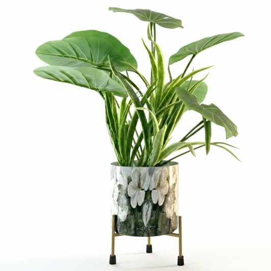 Green potted plant in a decorative pot with a white background