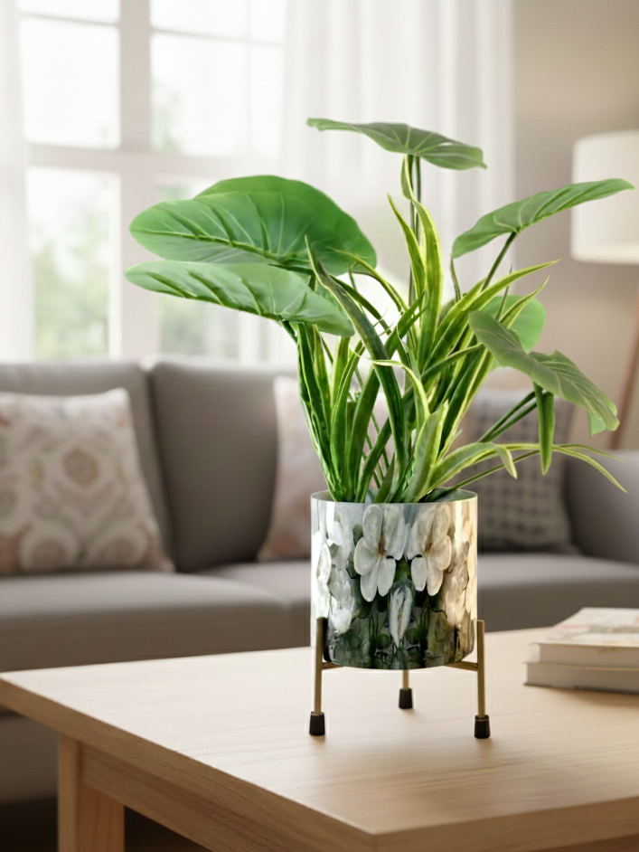 Potted plant on a coffee table in a living room setting
