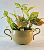 Classic Double-Handle Metal Flower Pot – Decorative Indoor Planter