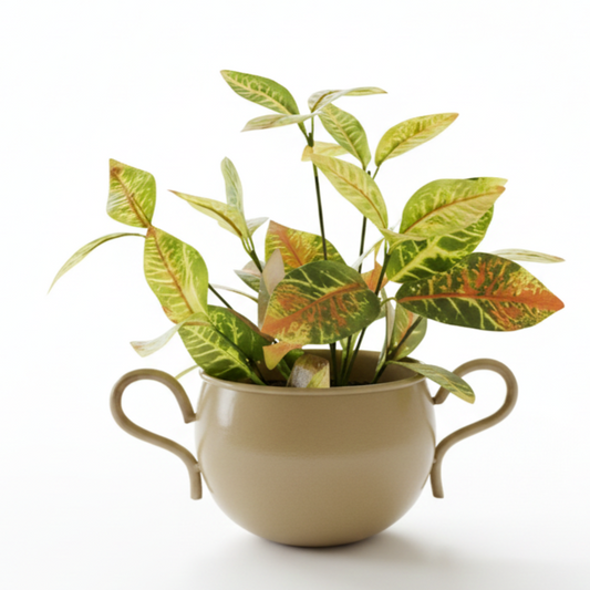 Decorative plant in a beige pot with handles on a white background