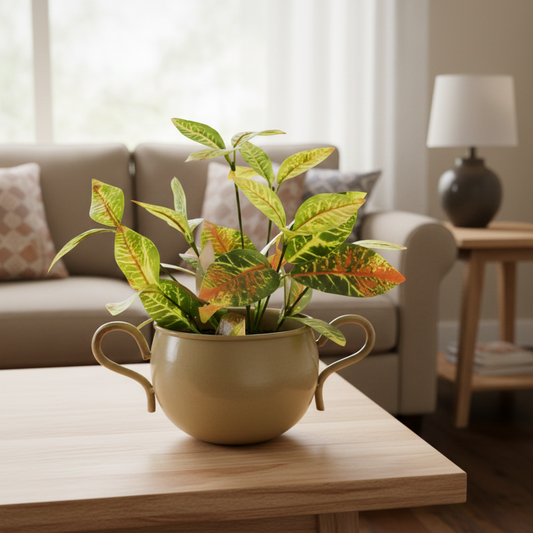 Potted plant on a wooden table in a living room setting