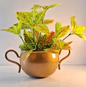 Classic Double-Handle Metal Flower Pot – Decorative Indoor Planter
