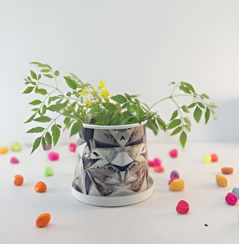 Compact Printed Metal Planter with Base Plate