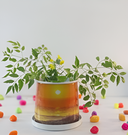 Compact Printed Metal Planter with Base Plate