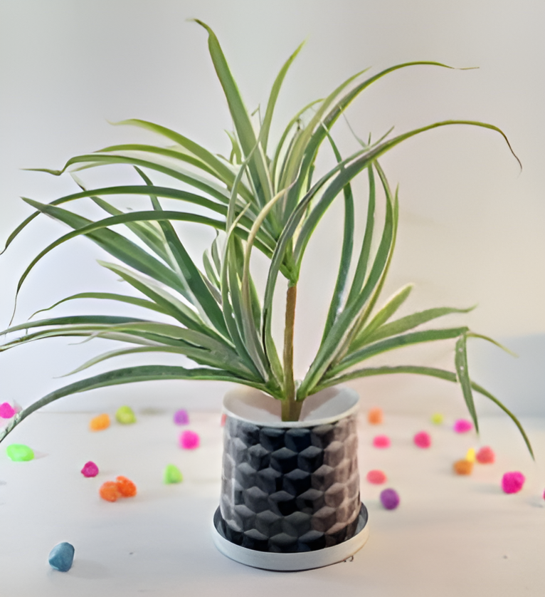 Compact Printed Metal Planter with Base Plate