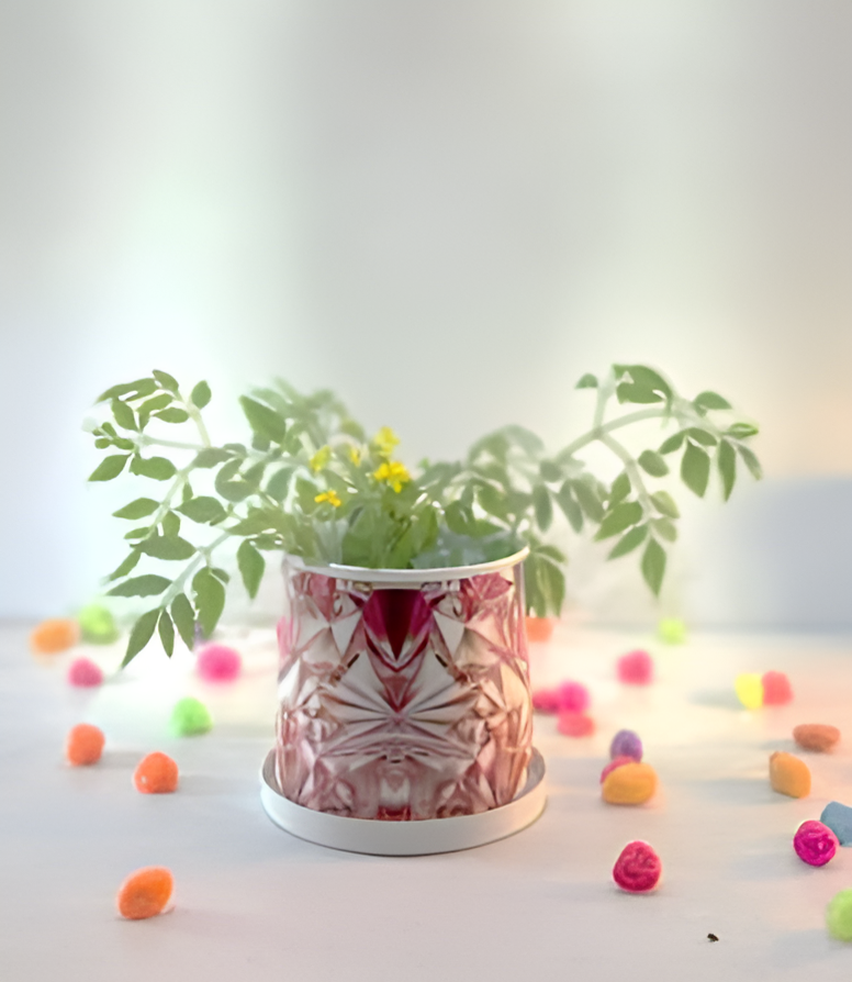 Compact Printed Metal Planter with Base Plate