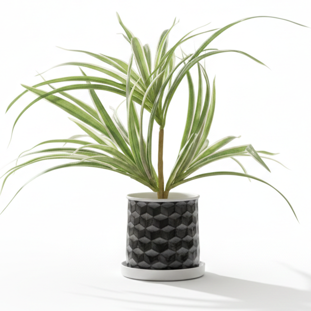 Compact Printed Metal Planter with Base Plate