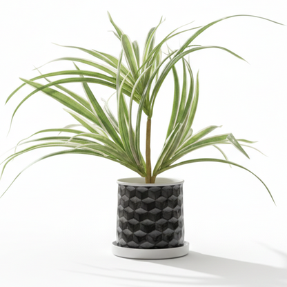 Compact Printed Metal Planter with Base Plate
