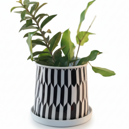 Compact Printed Metal Planter with Base Plate