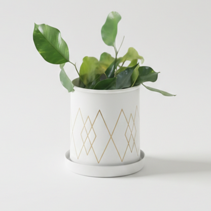 Compact Printed Metal Planter with Base Plate
