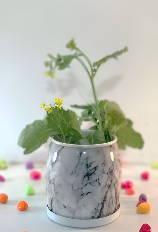 Assorted Marble-Effect Printed Metal Planters with Base Plate