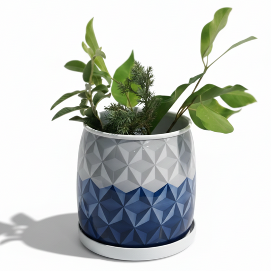 Geometric patterned plant pot with green plants on a white background