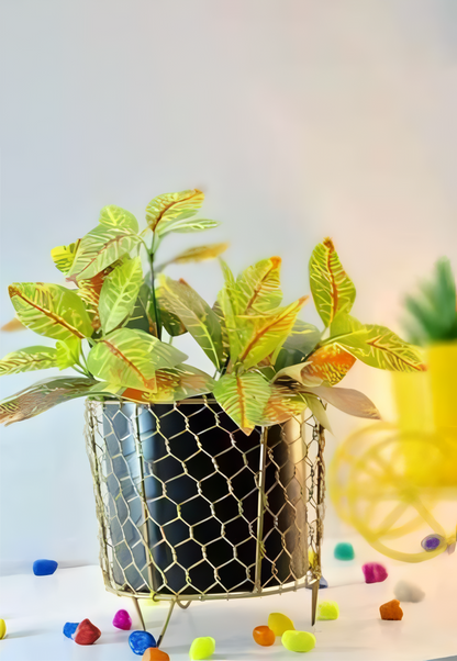 Hexagonal Mesh Metal Pot with Stand – Black & Gold