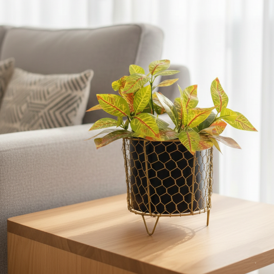 Hexagonal Mesh Metal Pot with Stand – Black & Gold