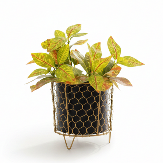 Hexagonal Mesh Metal Pot with Stand – Black & Gold