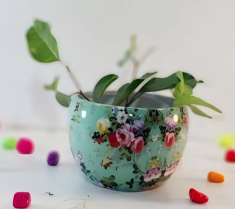 Printed Metal Pots