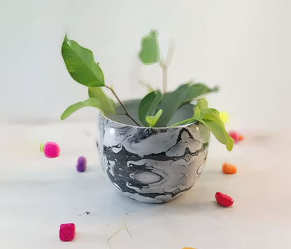 Printed Metal Pots