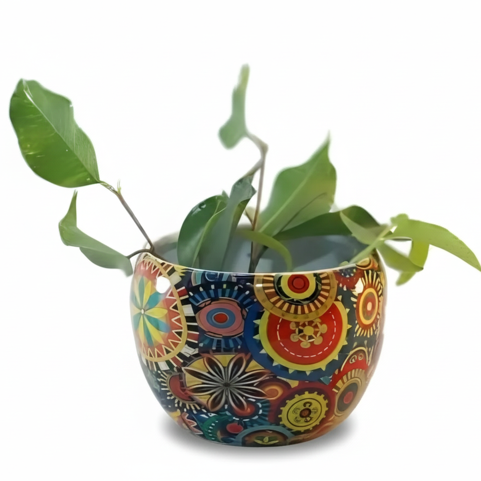 Colorful patterned pot with a plant on a white background