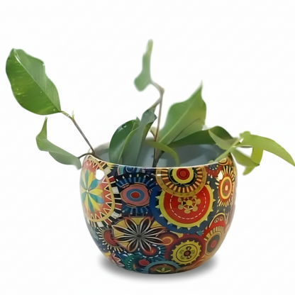 Colorful patterned pot with a plant on a white background
