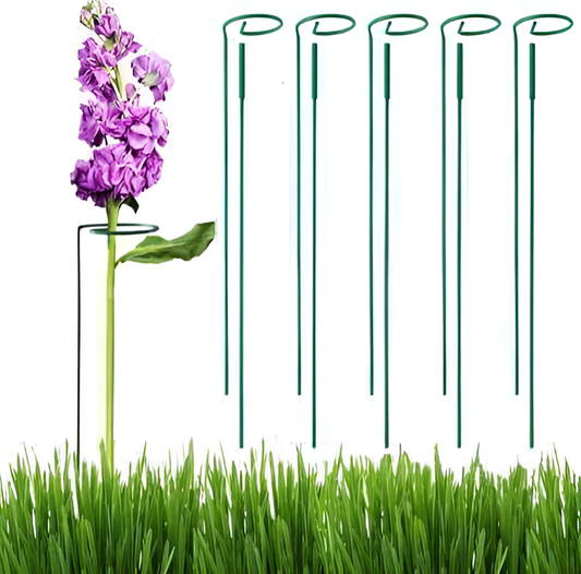 Metal Plant Supporter Set – 81 cm (Set of 5)