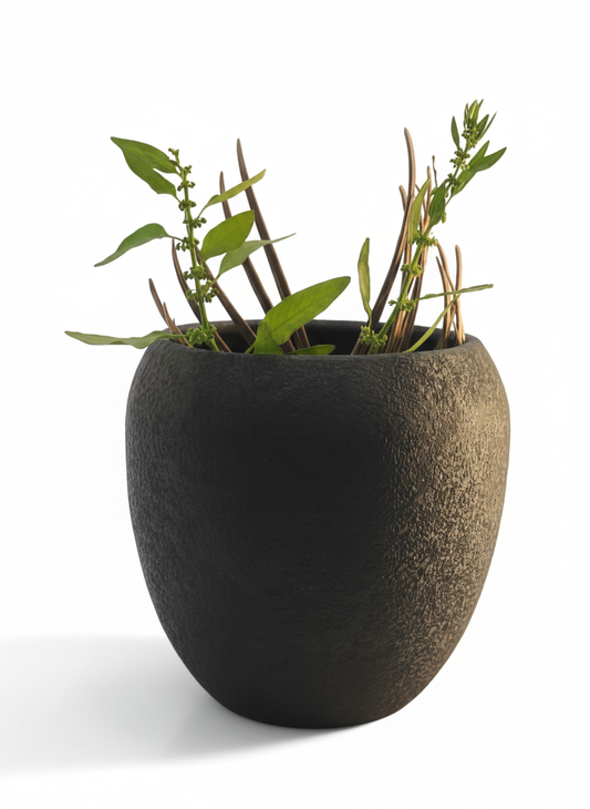 Textured black planter with green plants on a white background