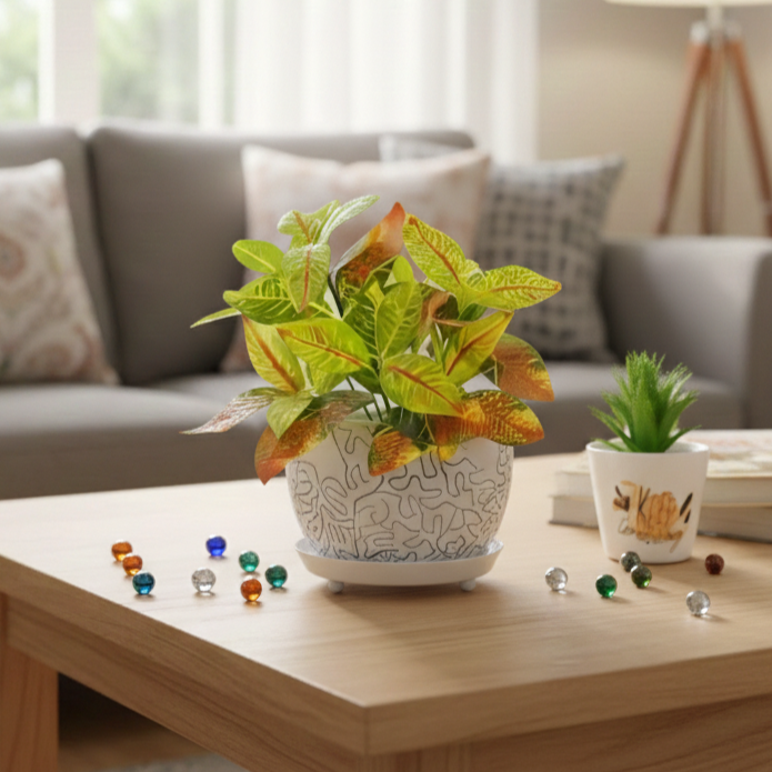 Potted plant on a wooden table with a blurred living room background