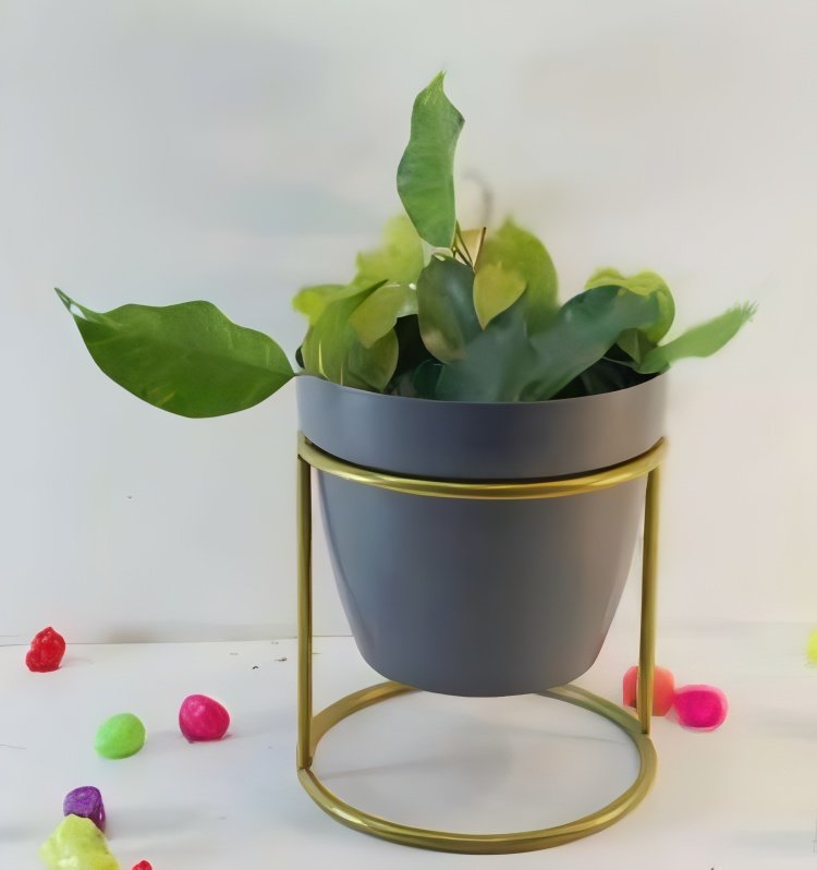 Round Cylinder Stand Planter