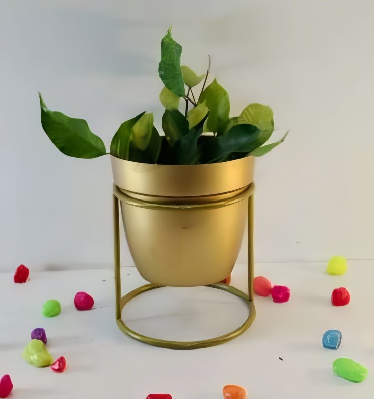 Round Cylinder Stand Planter