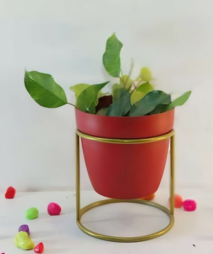 Round Cylinder Stand Planter
