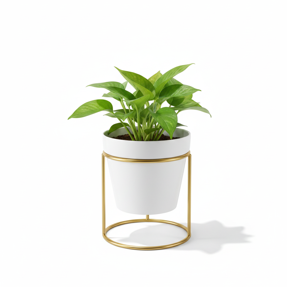Potted plant with a white pot and gold stand on a white background