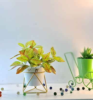 Decorative Camel Print Pot with Stand