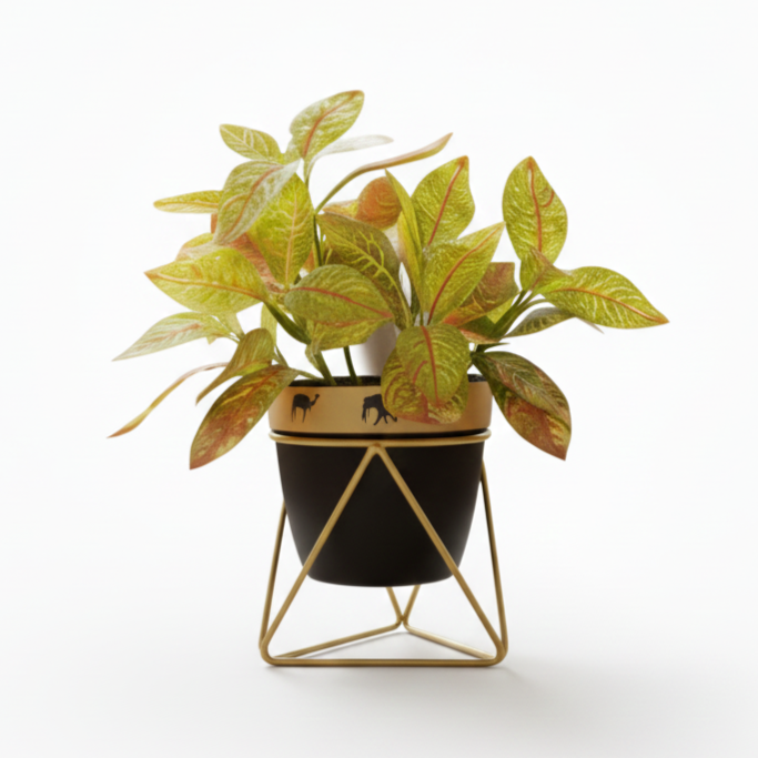 Potted plant with decorative pot on a white background