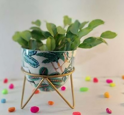 Round Metal Planter with Triangular Stand – Medium Size
