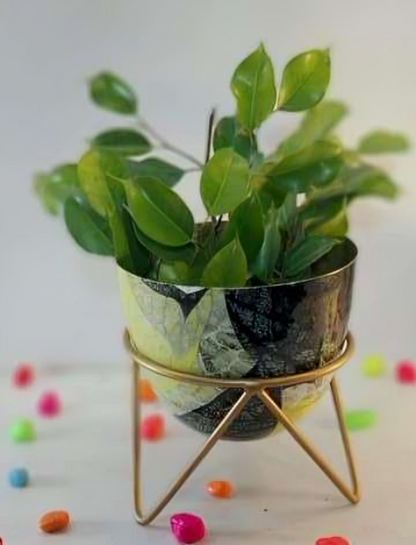 Round Metal Planter with Triangular Stand – Medium Size
