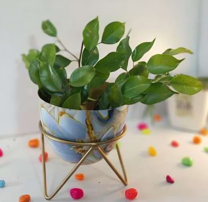 Round Metal Planter with Triangular Stand – Medium Size