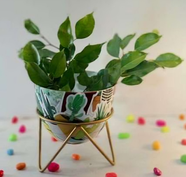 Round Metal Planter with Triangular Stand – Medium Size