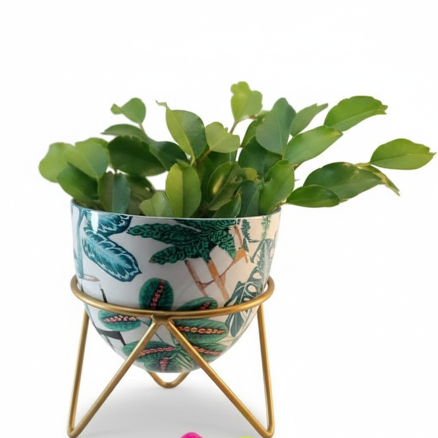 Round Metal Planter with Triangular Stand – Medium Size