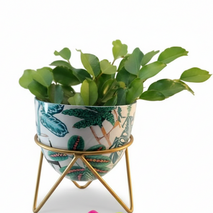 Round Metal Planter with Triangular Stand – Medium Size