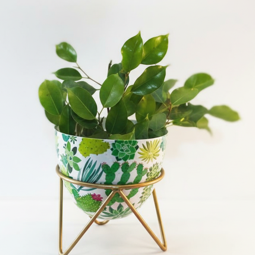 Round Metal Planter with Triangular Stand – Medium Size