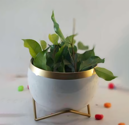 Round Patterned Metal Planter