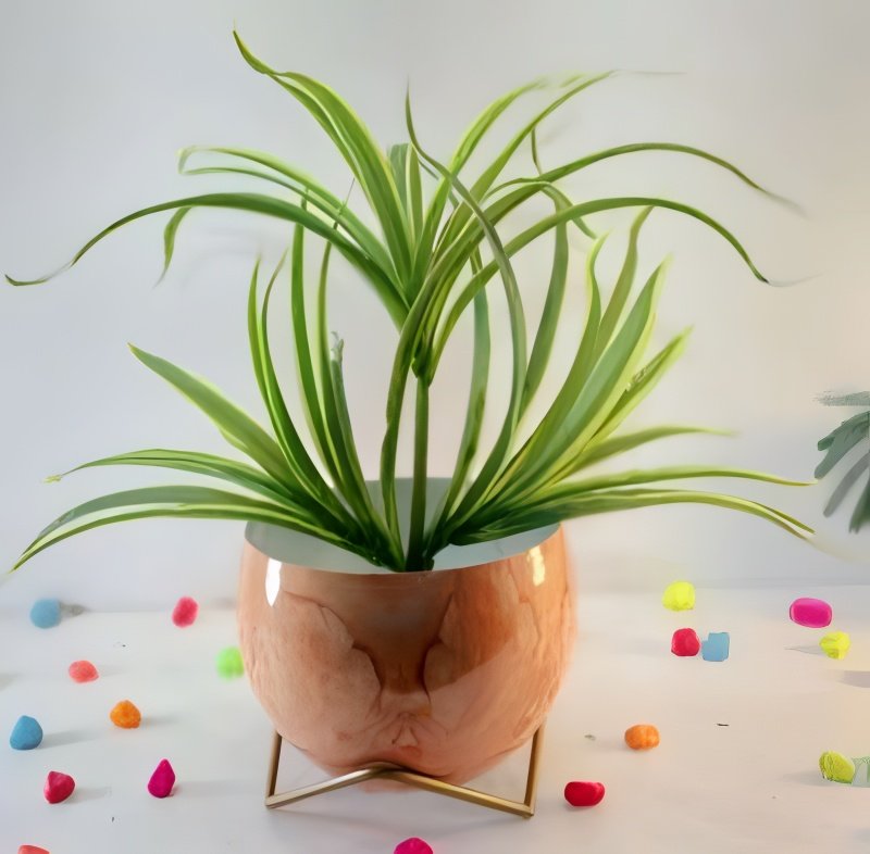 Round Patterned Metal Planter