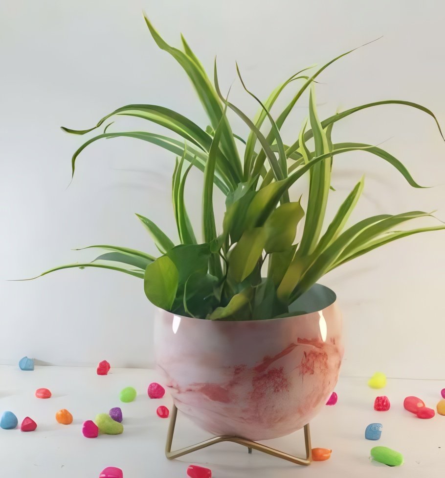 Round Patterned Metal Planter