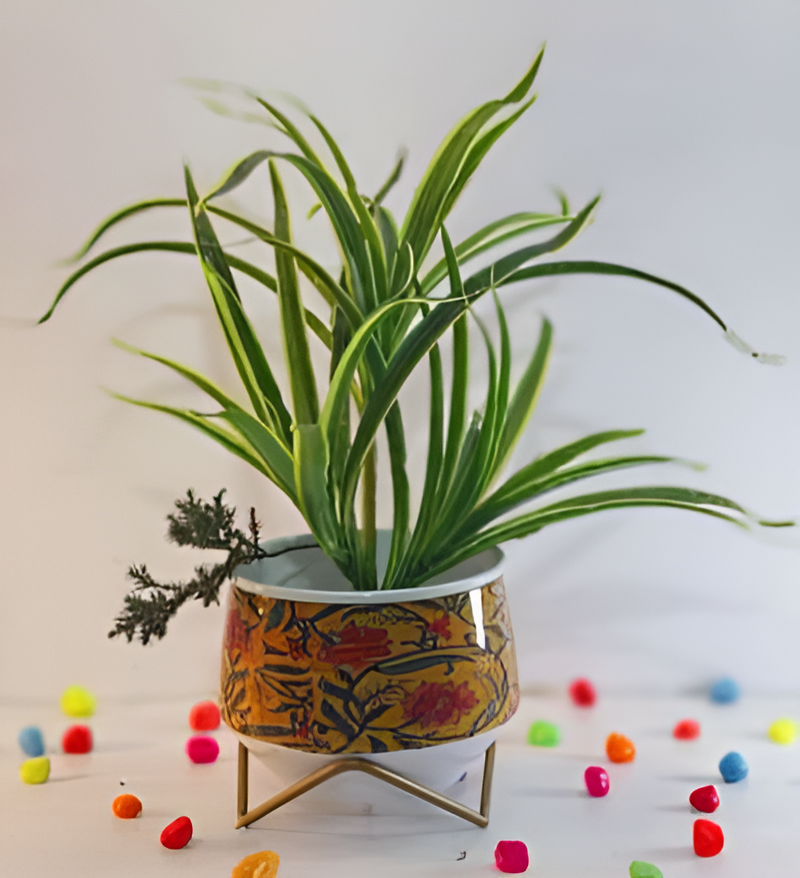 Wide Printed Metal Planter with Gold Cross Stand