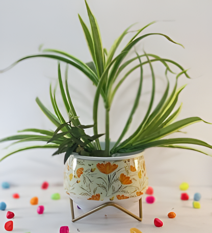 Wide Printed Metal Planter with Gold Cross Stand