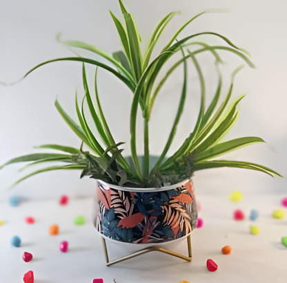 Wide Printed Metal Planter with Gold Cross Stand