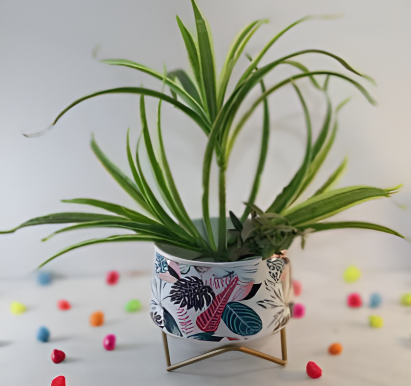 Wide Printed Metal Planter with Gold Cross Stand